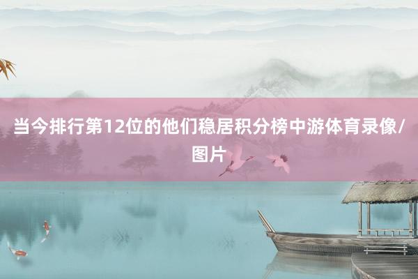 当今排行第12位的他们稳居积分榜中游体育录像/图片