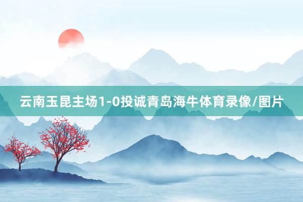 云南玉昆主场1-0投诚青岛海牛体育录像/图片