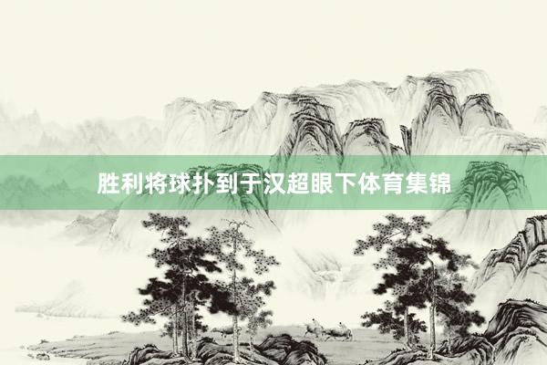 胜利将球扑到于汉超眼下体育集锦
