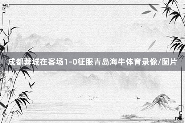 成都蓉城在客场1-0征服青岛海牛体育录像/图片