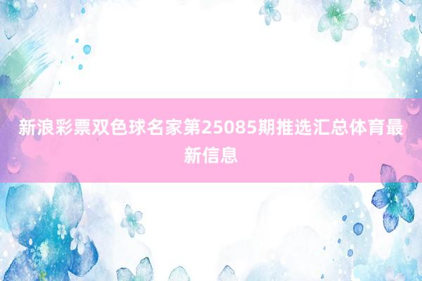 新浪彩票双色球名家第25085期推选汇总体育最新信息