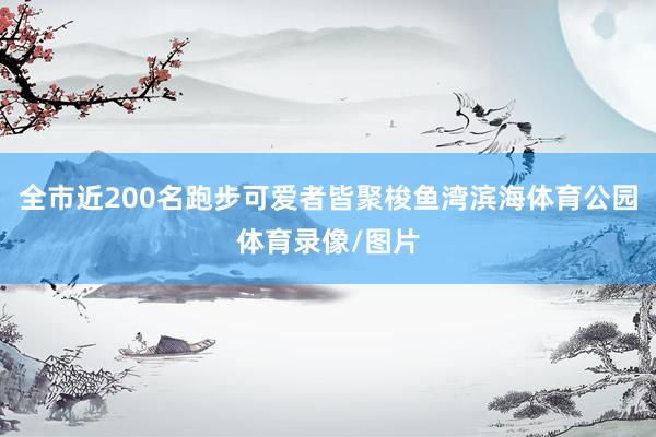 全市近200名跑步可爱者皆聚梭鱼湾滨海体育公园体育录像/图片