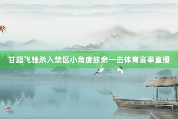 甘超飞驰杀入禁区小角度致命一击体育赛事直播