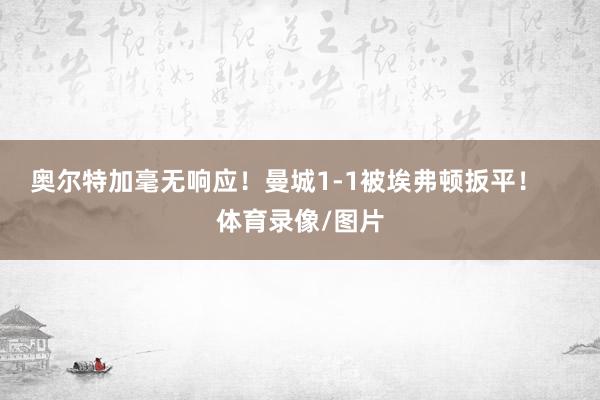 奥尔特加毫无响应！曼城1-1被埃弗顿扳平！    体育录像/图片