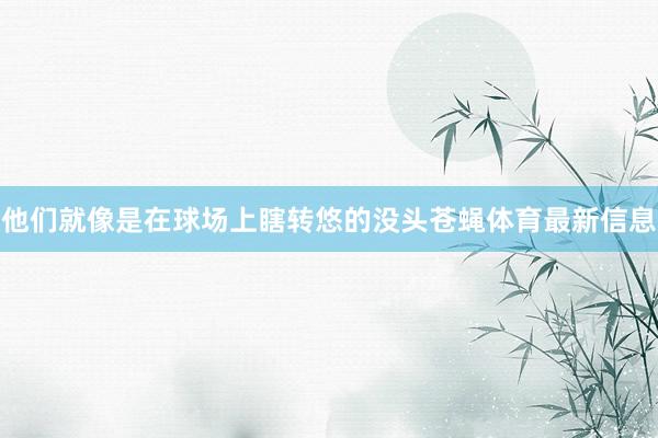 他们就像是在球场上瞎转悠的没头苍蝇体育最新信息