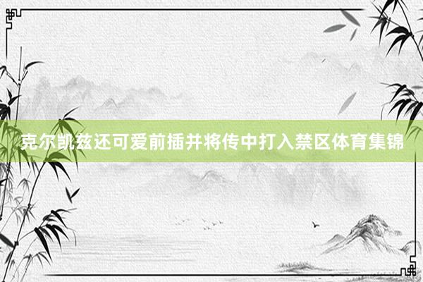 克尔凯兹还可爱前插并将传中打入禁区体育集锦