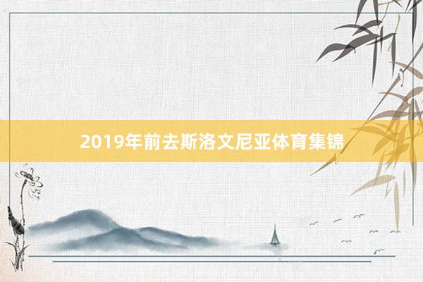 2019年前去斯洛文尼亚体育集锦