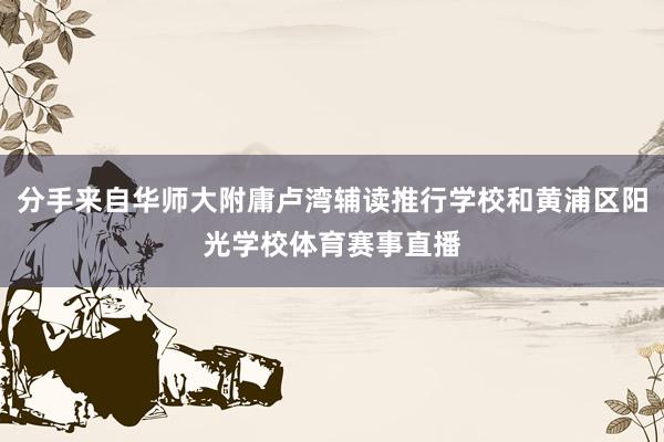 分手来自华师大附庸卢湾辅读推行学校和黄浦区阳光学校体育赛事直播