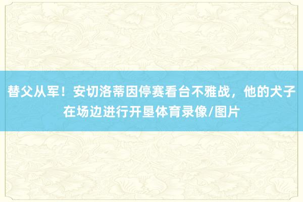 替父从军!安切洛蒂因停赛看台不雅战,他的犬子在场边进行开垦体育录像/图片